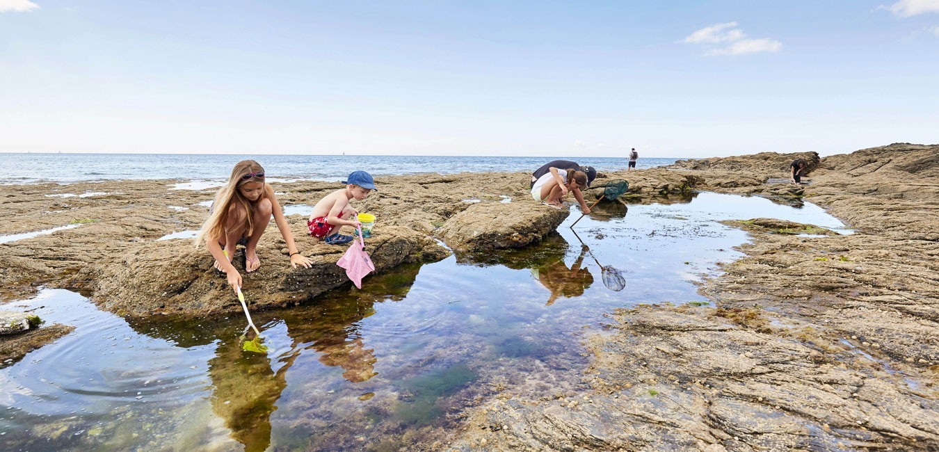 Pêche à pied : conseils pratiques, réglementation, techniques de pêche