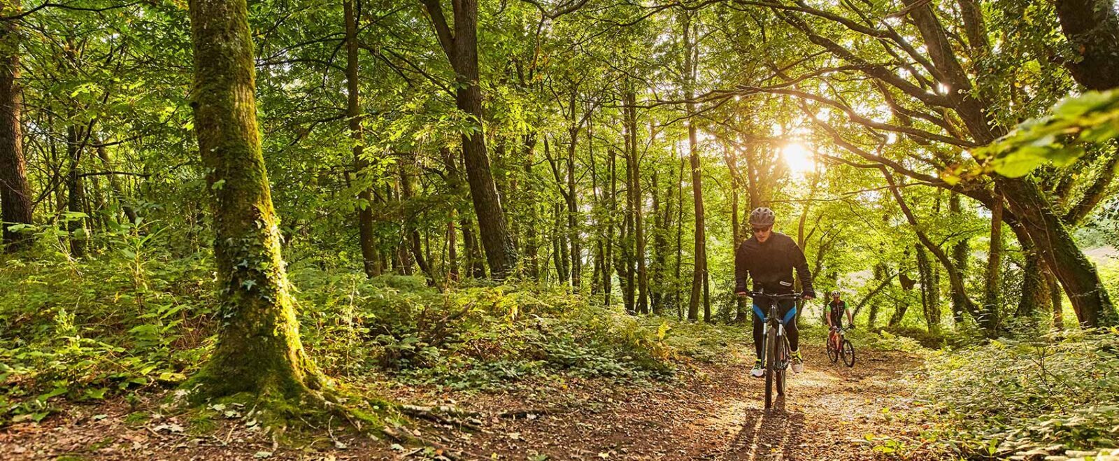 velo vtt foret broceliande