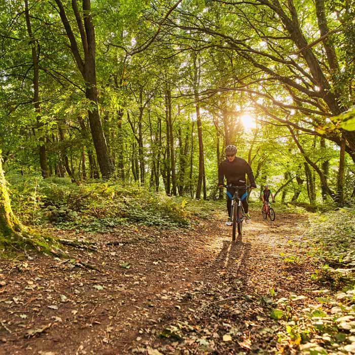 velo vtt foret broceliande