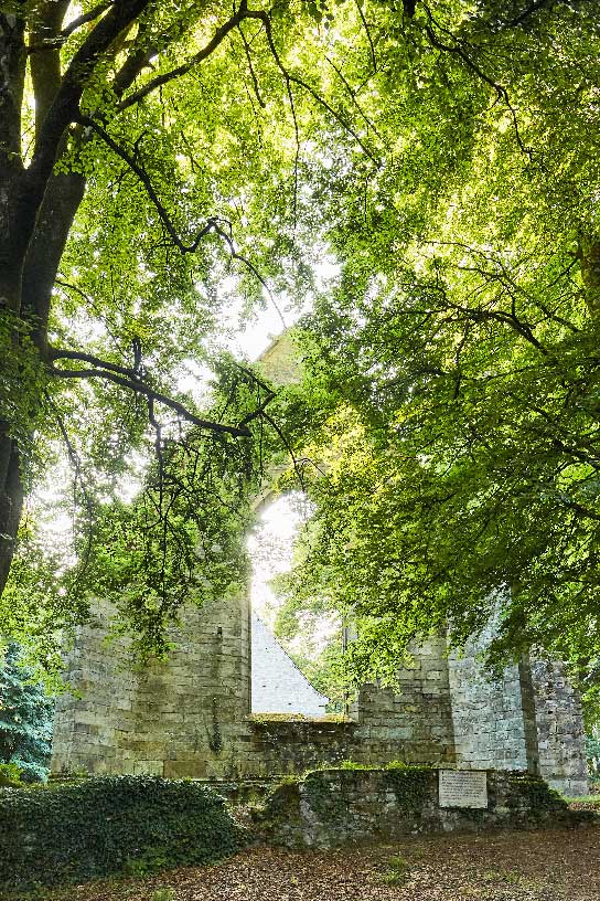 RUINE BROCELIANDE