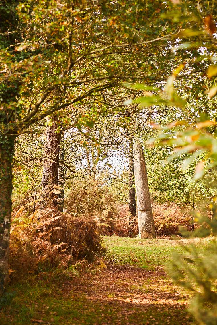 broceliande menhir