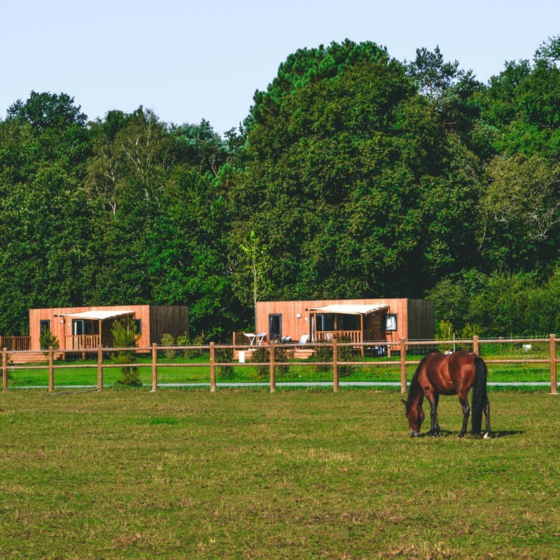 camping nature broceliande