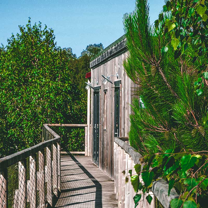 passerelle nature 