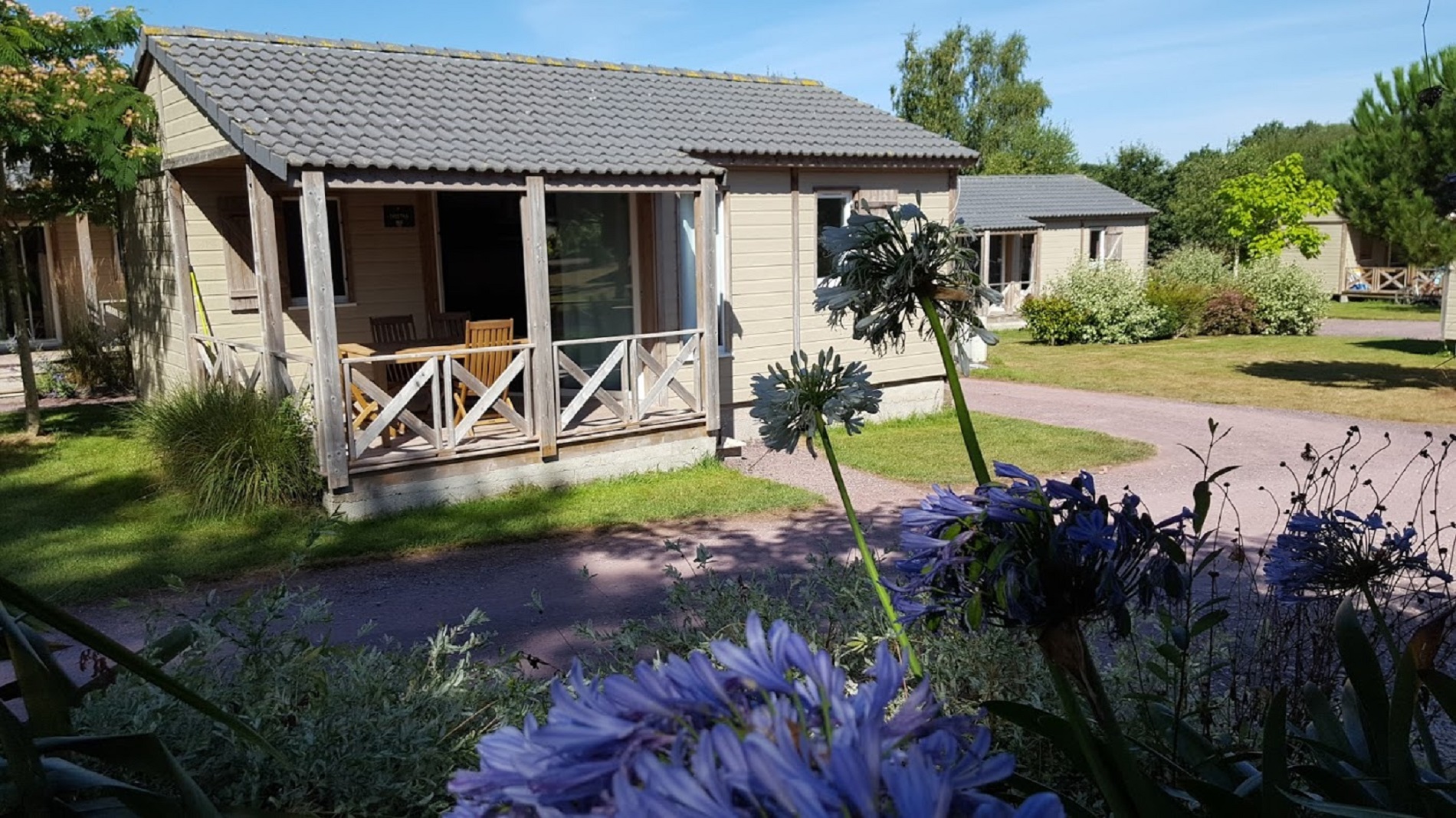 Chalet confort PREMIUM 33 m² (2 bedrooms – 1 bathroom) + covered terrace