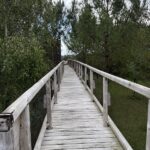 PREMIUM overwater cottage (2 bedrooms – 1 bathroom) + covered terrace